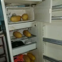 وسیله مورد نیاز