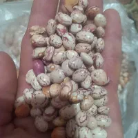 لوبیا درجه یک طبیعی.
