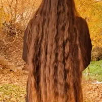کوتاهی مو در سالن خ. ر.ی.د