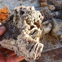 سنگ ناترولیت کلسدونی صادراتی.با خرما معاوضه|جواهرات|بوشهر, |دیوار