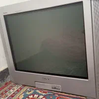 تلوزیون
