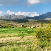 زمین-سربیژن-جیرفت