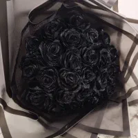 گل ربانی|گل مصنوعی|تربت‌حیدریه, کلاته توکلی|دیوار