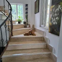 نوسازی، بازسازی و نعمیرات تخصصی ساختمان|خدمات پیشه و مهارت|لاهیجان, شقایق|دیوار