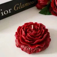 وارمر وگل شمعی