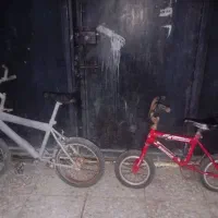 دوچرخه|دوچرخه، اسکیت، اسکوتر|جاسک, |دیوار