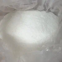 پور ناگیر
