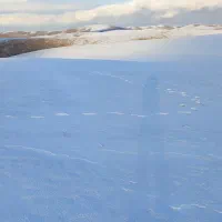 فروش زمین دیمی