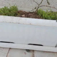 فلاور باکس پلاستیکی سفید
