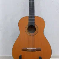 گیتار وفایی نو