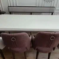 میز و صندلی غذا خوری ۱۰نفری کم کارکرد