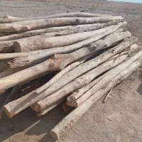 چوب|مصالح و تجهیزات ساختمان|بسطام, |دیوار