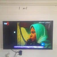 نصب انتن هوایی|خدمات پیشه و مهارت|زاهدان, |دیوار