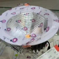 چراغ توکار رعد نمانور ۶۰ وات