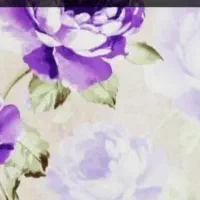 کاغذ دیواری و نقاشی ساختمان