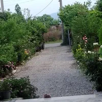 اجاره ویلا دوبلکس سوادکوه شمالی 220متری|اجارهٔ کوتاهمدت ویلا و باغ|شیرگاه, |دیوار