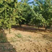 اتاق-دار-باغ-کشاورزی