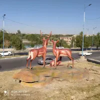 راهنمایی کنید زیباشهر