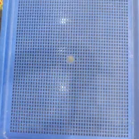 مقداری غذای خشک سگ و جای دستشویی سگ موجوده