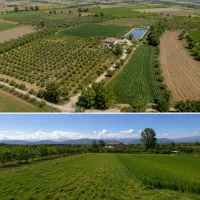 فروش-زمین-کشاورزی