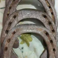 نعل اسب کهنه و پا خورده|اسب و تجهیزات اسب‌سواری|خرم‌آباد, |دیوار