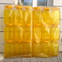 پت ۱۰کیلویی