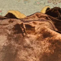کت پالتو پوست اروپایی