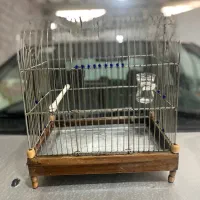 قفس سهره قناری