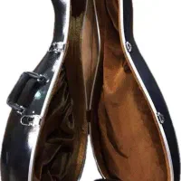 هارد کیس عود(بربط)