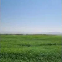 ۵ هکتار زمین کشاورزی همراه آب