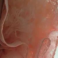 لباس دخترانه|کفش و لباس بچه|اهواز, فاز ۲ پادادشهر|دیوار