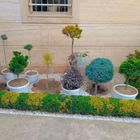 خدمات اجرای فضای سبز محوطه سازی قیمت منصفانه|خدمات باغبانی و درختکاری|رشت, دیلمان|دیوار