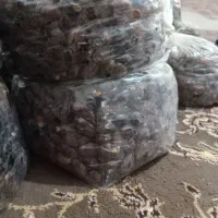 خرما جهرومی بسته بندی شده دراهواز زرگان