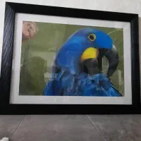 تابلو نقاشی