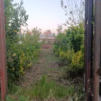 1000-متر-زمین-روستایی-باسوله-دوردیوار-گیلان