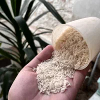 برنج طارم درجه 1(کشت دوم)