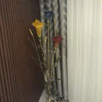 آباژور کاملا سالم