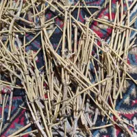 فروش گیاه هوم یا بزریش درمان کبد چرب ولاغری