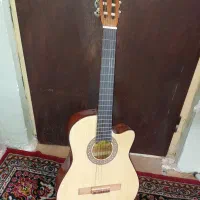 گیتار کات اوی