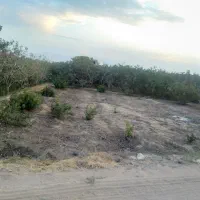 فروش-زمین-اشکذر