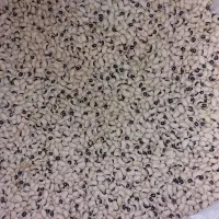 لوبیا چشم بلبلی