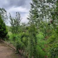 23-هزار-متر-زمین-بر-اصلی-سراوان