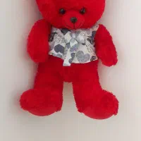 شاسخین نیم متری