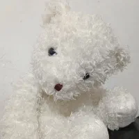 عروسک خرس|اسباب‌‌بازی|بجنورد, |دیوار