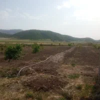 دشت بیلو. منطقه آزاد|فروش خانه و ویلا|خاو و میرآباد, |دیوار