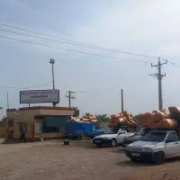 فروش یونجه خشک|عمدهفروشی|ایذه, |دیوار