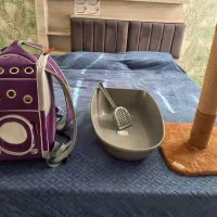 ملزومات گربه درحد نو نو|لوازم جانبی حیوانات|هشتگرد, فاز ۱ مهستان|دیوار