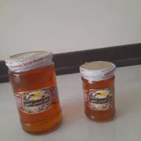 عسل گون طبیعی و گرده ی گل و ژل رویال|خوردنی و آشامیدنی|اصفهان, ملک‌شهر|دیوار