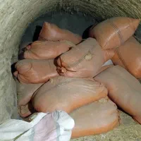 کاه گندم تمیز بدون ذره ای خاک کاه دیم ۳۰۰کیلو