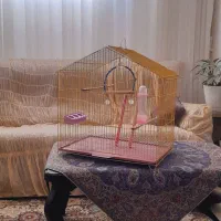 قفس پرنده|لوازم جانبی حیوانات|اسکو, |دیوار